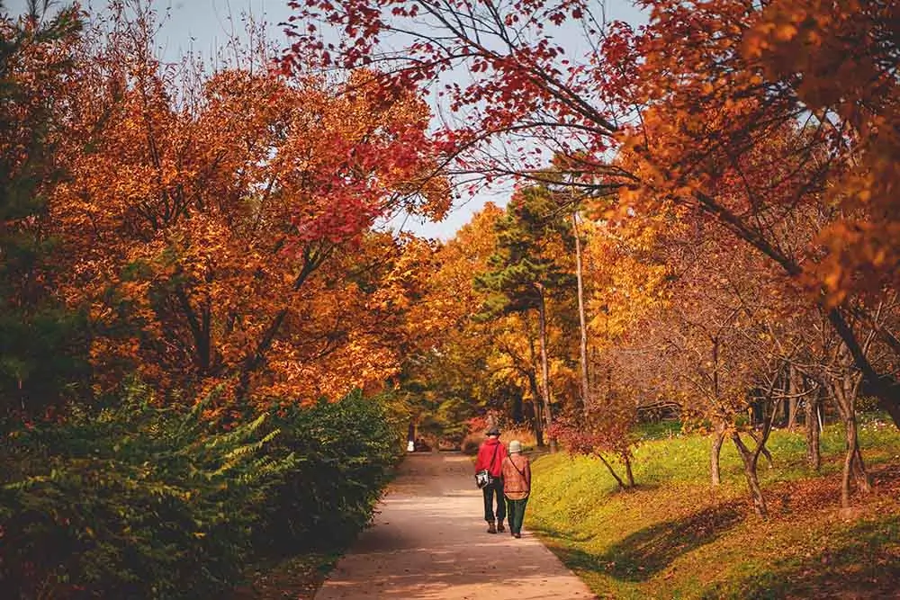 Retire Abroad