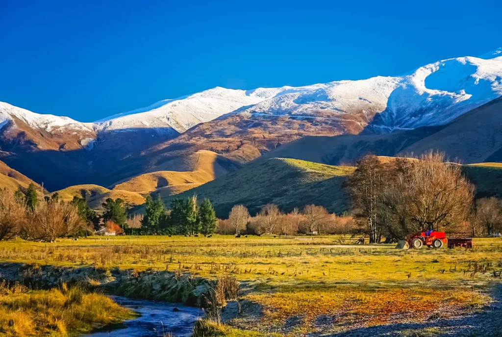 New Zealand Golden Visa New Zealand Active Investor Plus Visa New Zealand Investor Visa Guide